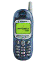 Best available price of Motorola T190 in Turkmenistan
