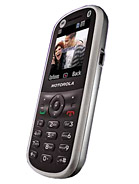 Best available price of Motorola WX288 in Turkmenistan