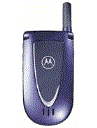 Best available price of Motorola V66i in Turkmenistan